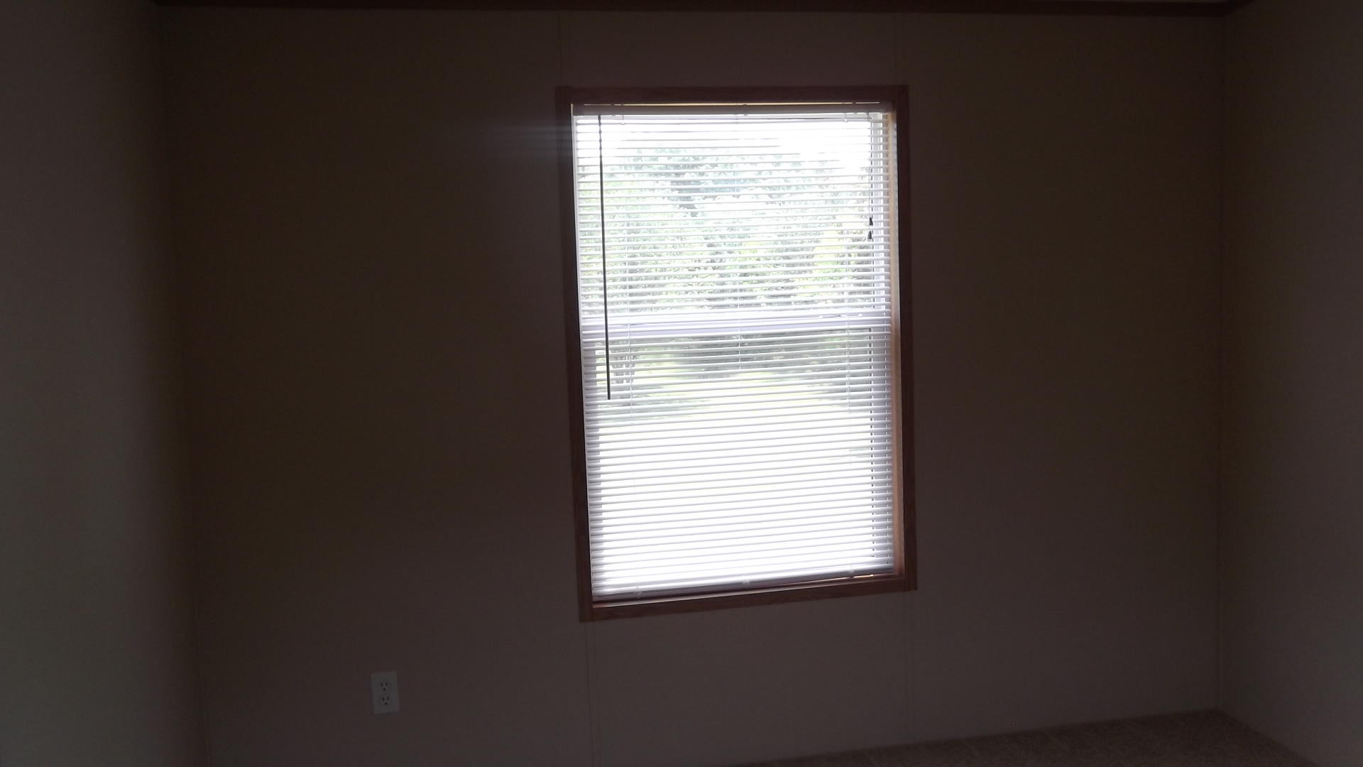 1415 Leadmine Road, Unit 1 White Pine, TN 37890 - Photo 14 of 35 DSCF4089