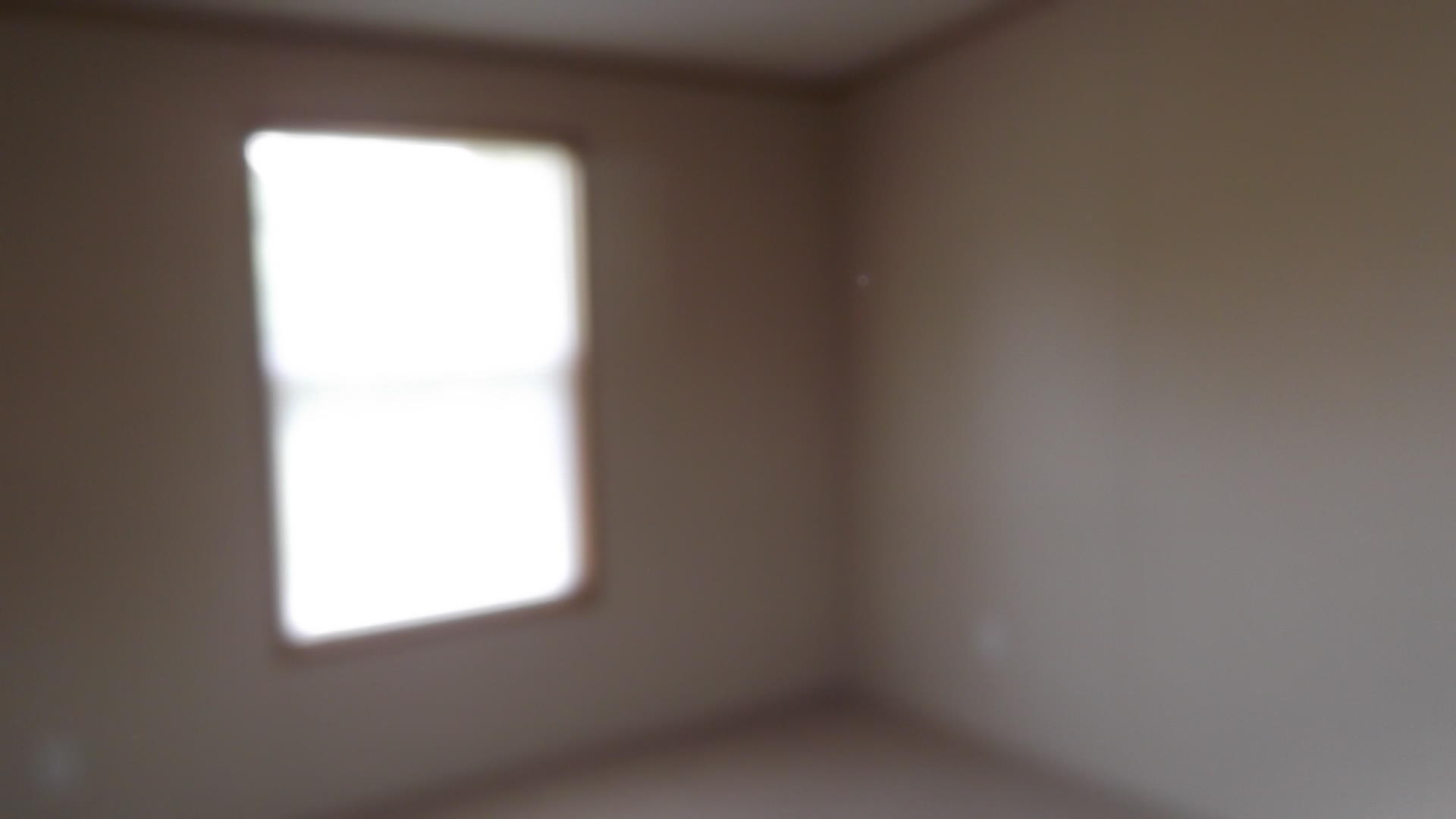 1415 Leadmine Road, Unit 1 White Pine, TN 37890 - Photo 15 of 35 DSCF4090