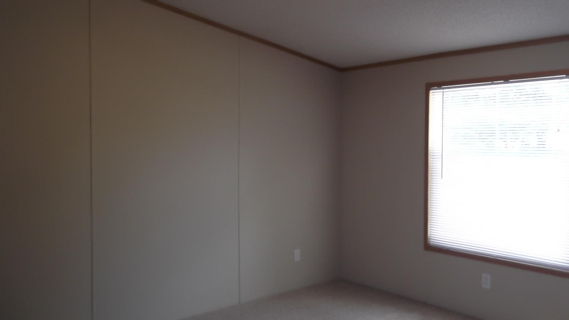 1415 Leadmine Road, Unit 1 White Pine, TN 37890 - Photo 16 of 35 DSCF4091