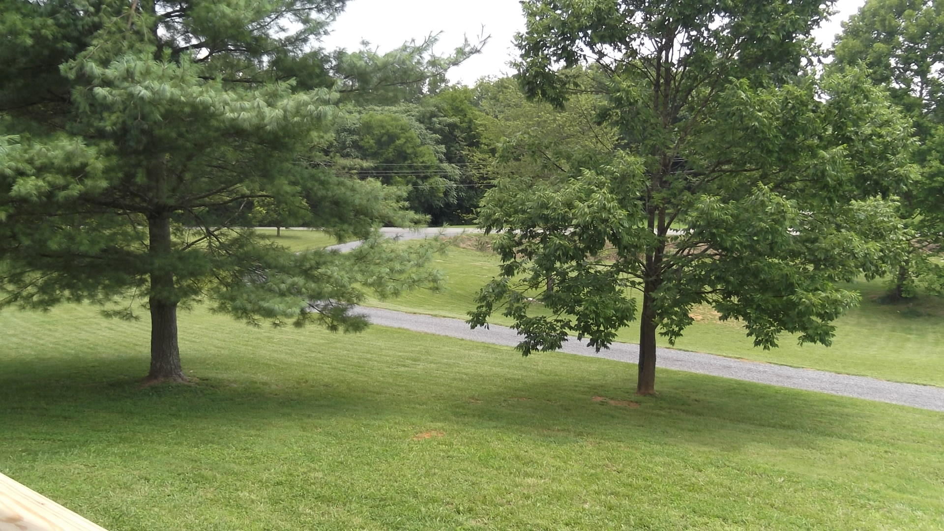 1415 Leadmine Road, Unit 1 White Pine, TN 37890 - Photo 34 of 35 DSCF4102