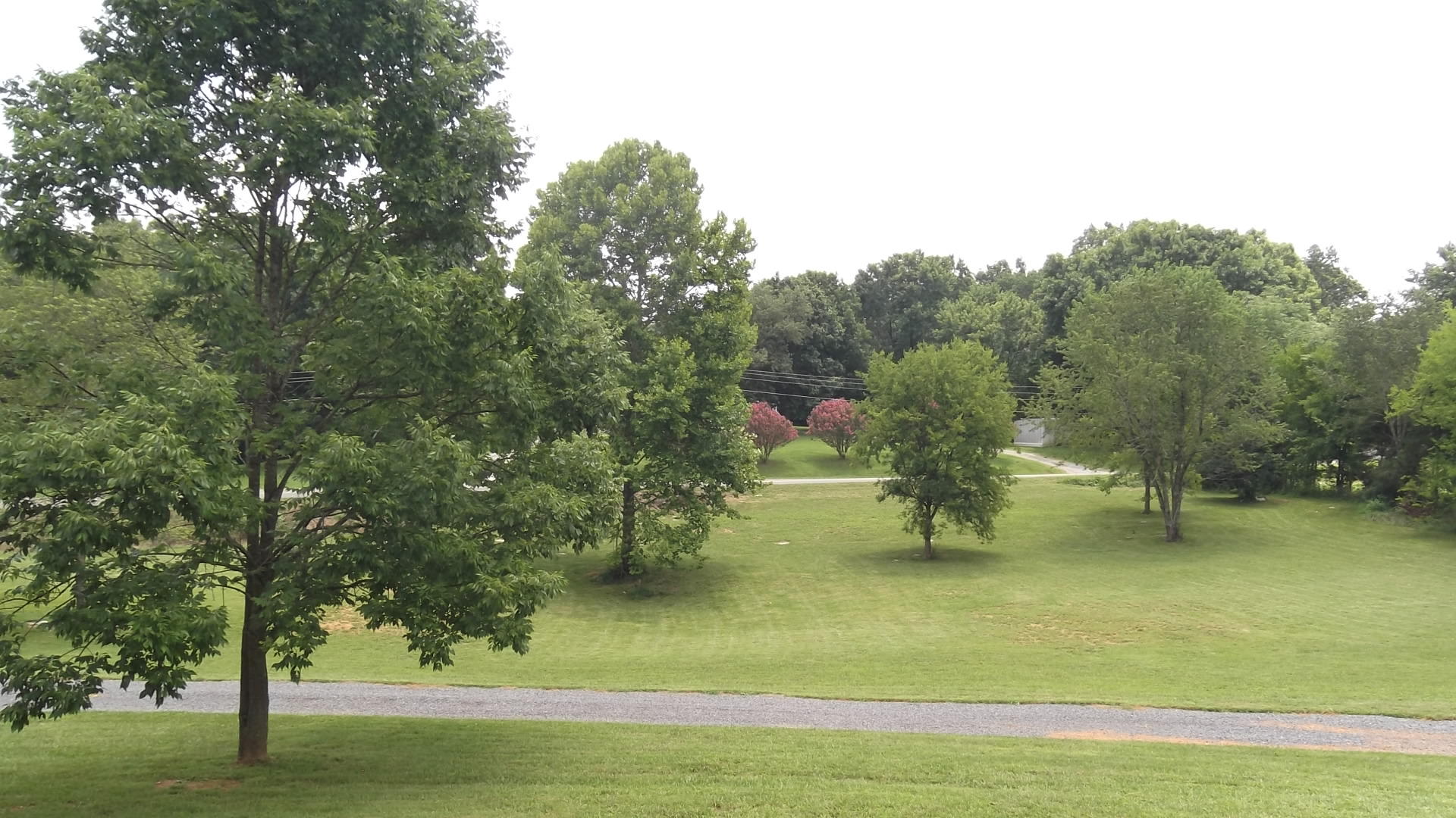 1415 Leadmine Road, Unit 1 White Pine, TN 37890 - Photo 35 of 35 DSCF4101