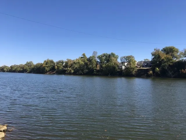 a view of lake with boats and trees in the background