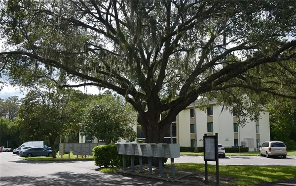 a view of back yard of the house
