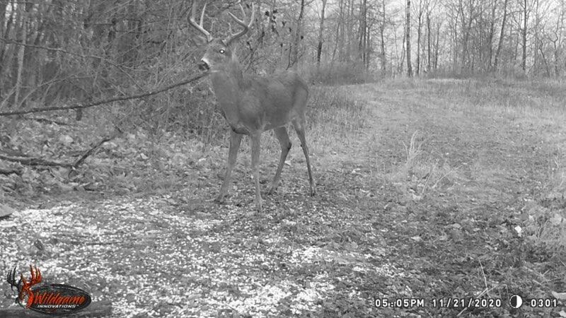 0 Virginia Ridge Road Philo, OH 43771 - Photo 13 of 28