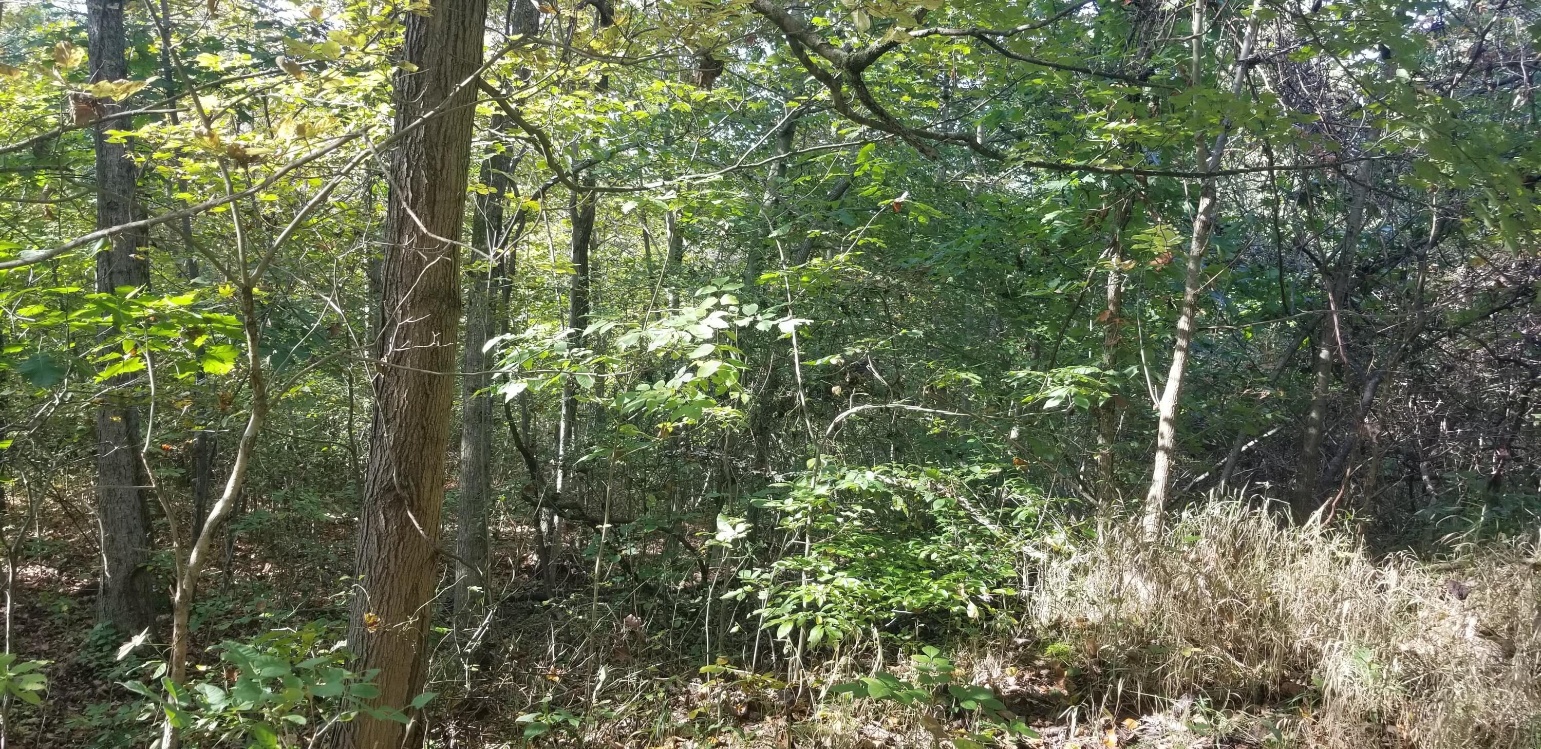 0 Virginia Ridge Road Philo, OH 43771 - Photo 20 of 28