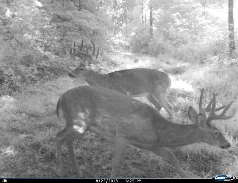 0 Virginia Ridge Road Philo, OH 43771 - Photo 7 of 28