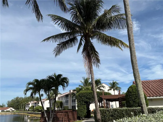 a view of a palm tree with palm trees