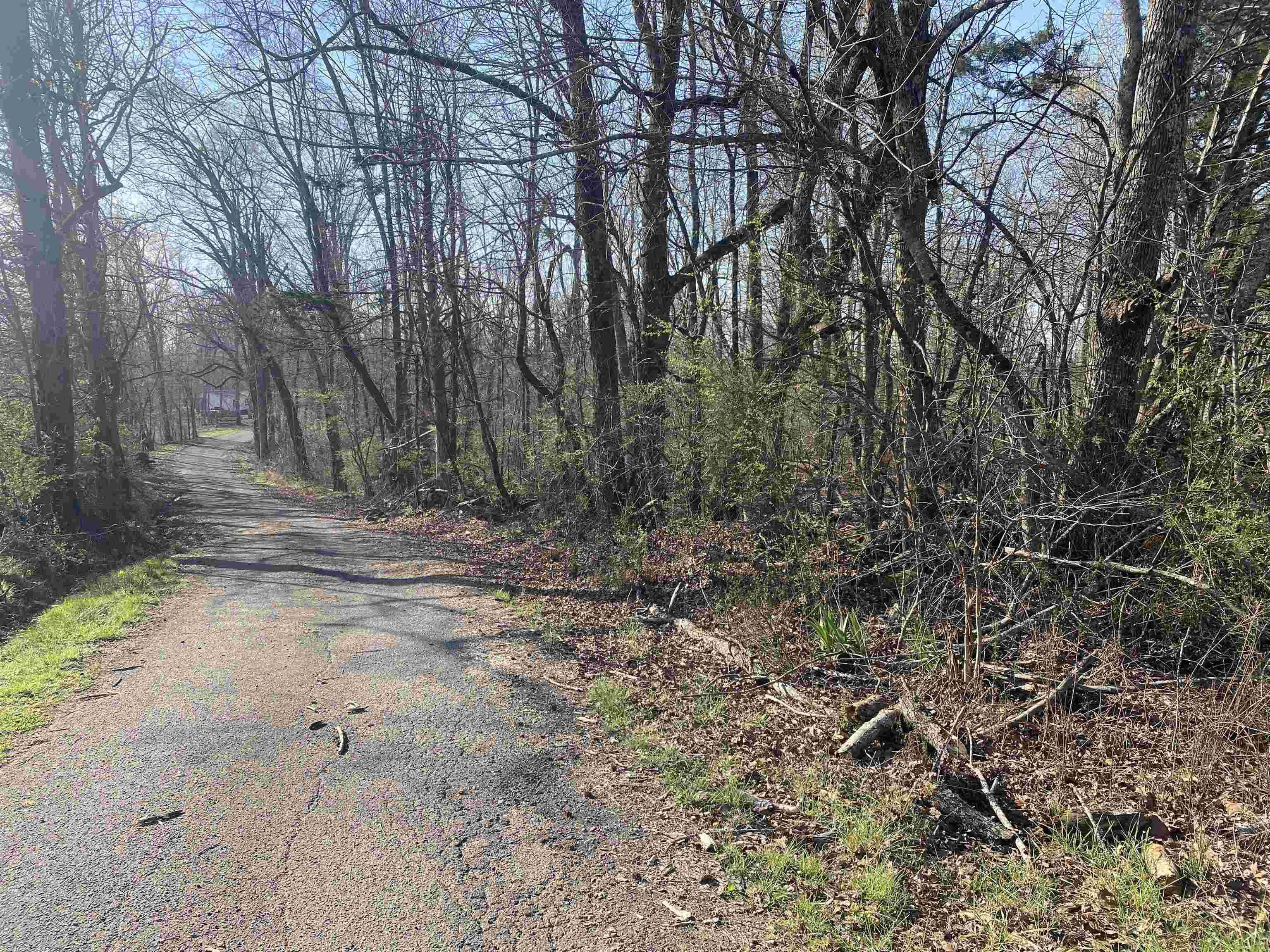 5405 Coffee Landing Road Morris Chapel, TN 38361 - Photo 17 of 32 a view of backyard with green space