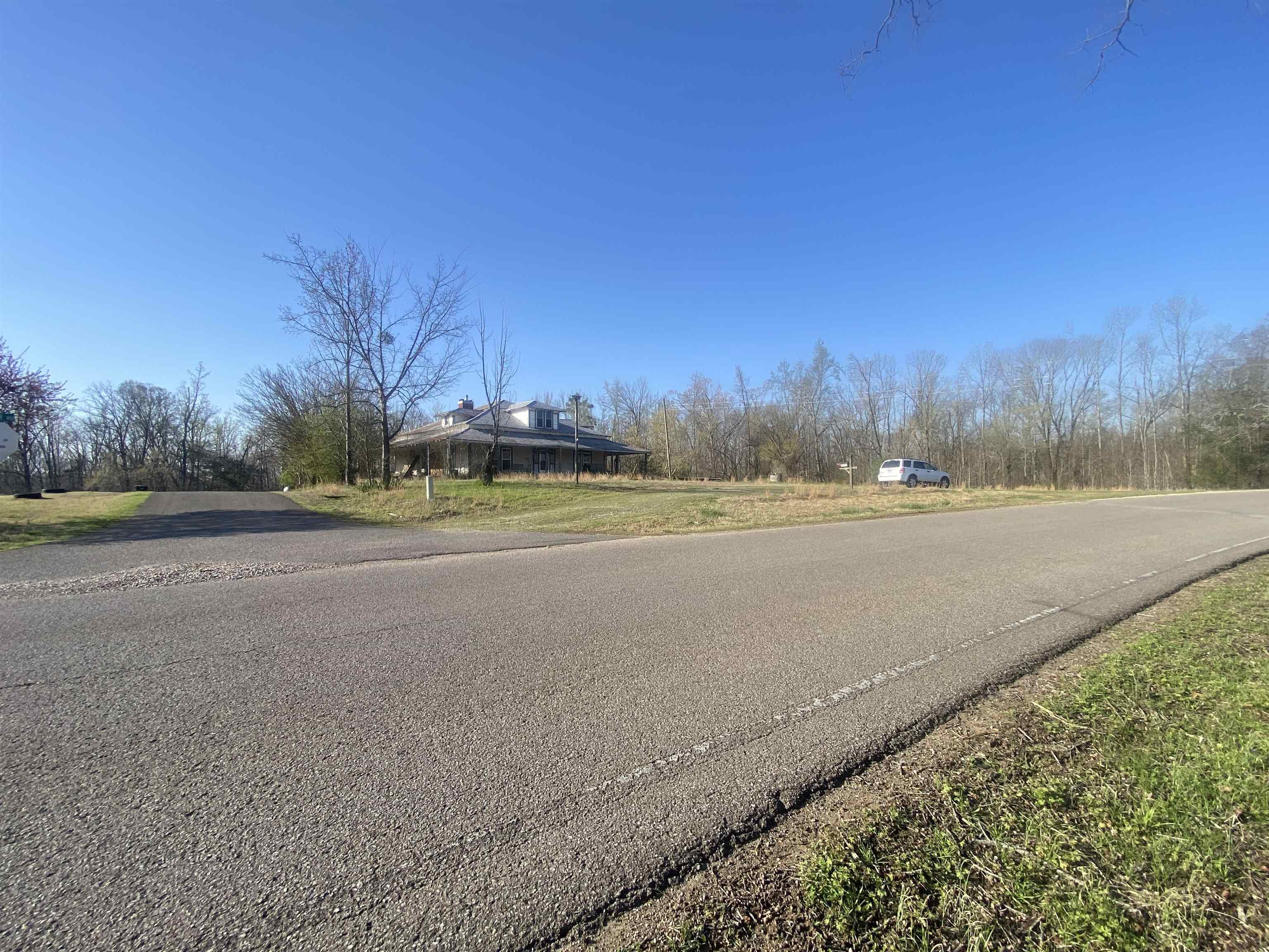 5405 Coffee Landing Road Morris Chapel, TN 38361 - Photo 19 of 32 a view of a field with trees in background