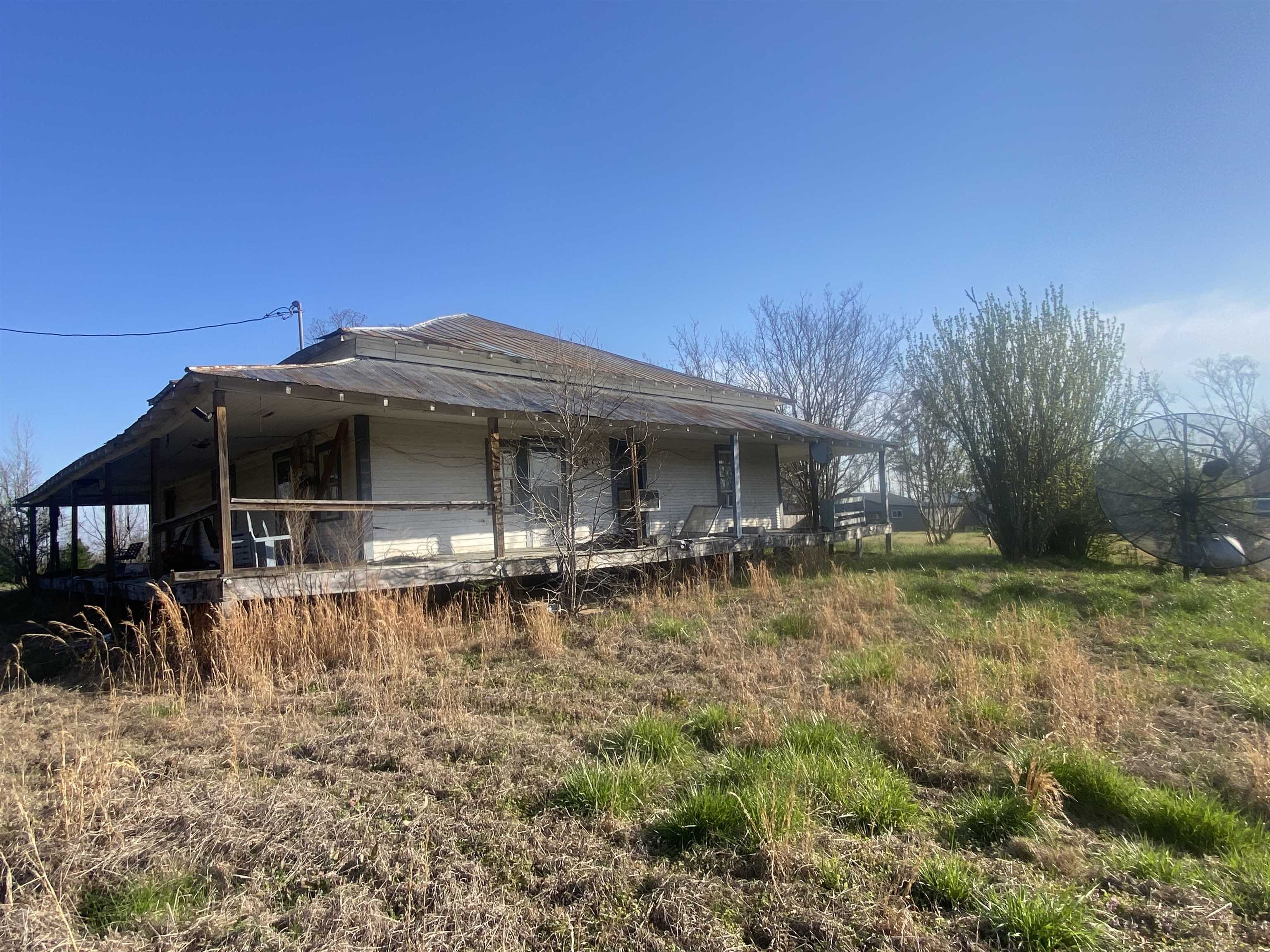 5405 Coffee Landing Road Morris Chapel, TN 38361 - Photo 25 of 32 a backyard of a house with table and chairs under an umbrella with large trees