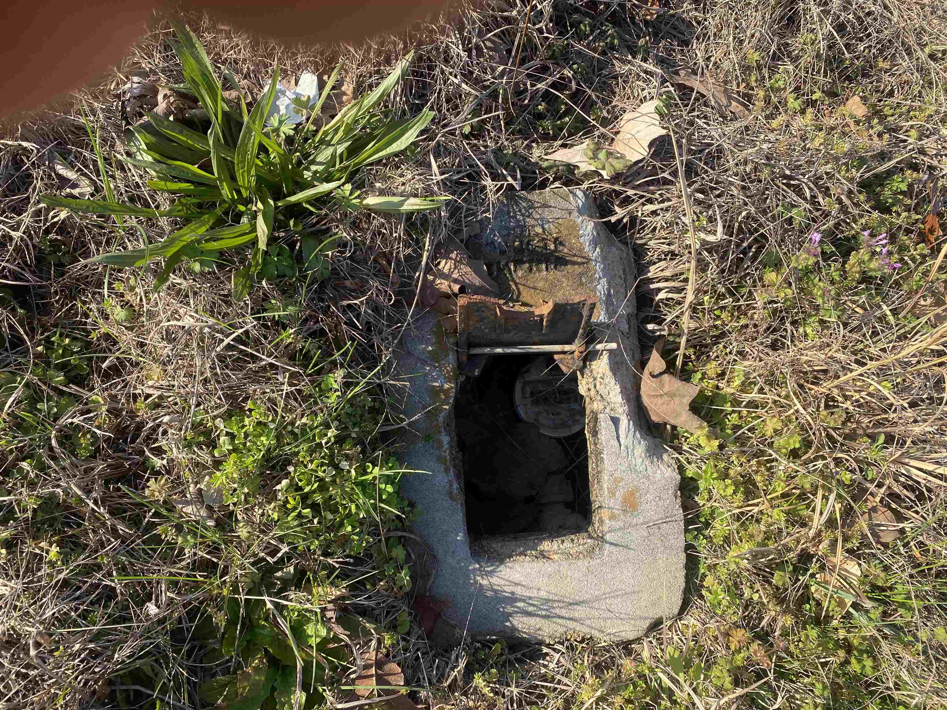 5405 Coffee Landing Road Morris Chapel, TN 38361 - Photo 31 of 32