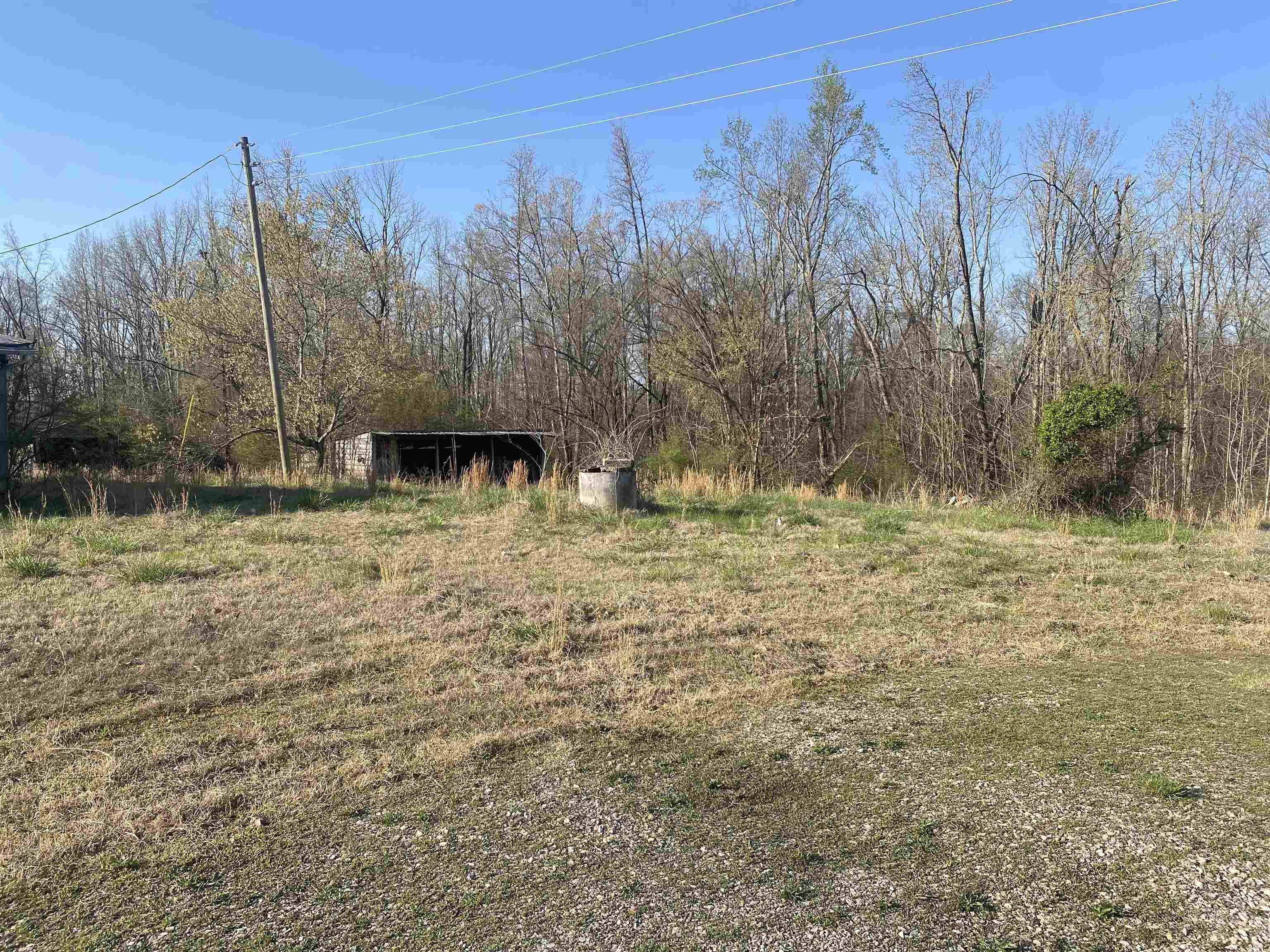 5405 Coffee Landing Road Morris Chapel, TN 38361 - Photo 32 of 32 a view of a yard with trees