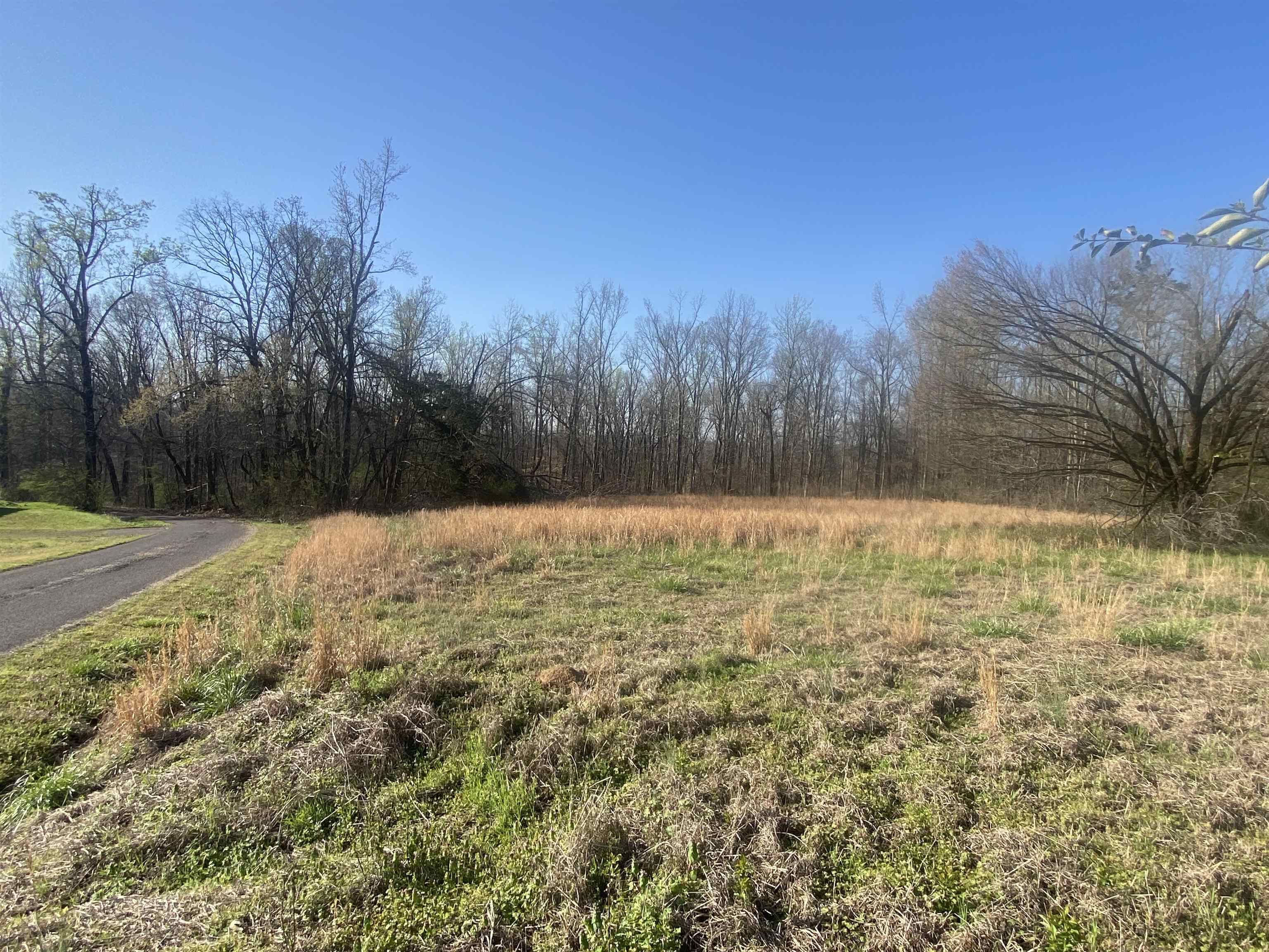 5405 Coffee Landing Road Morris Chapel, TN 38361 - Photo 7 of 32 a view of outdoor space with trees