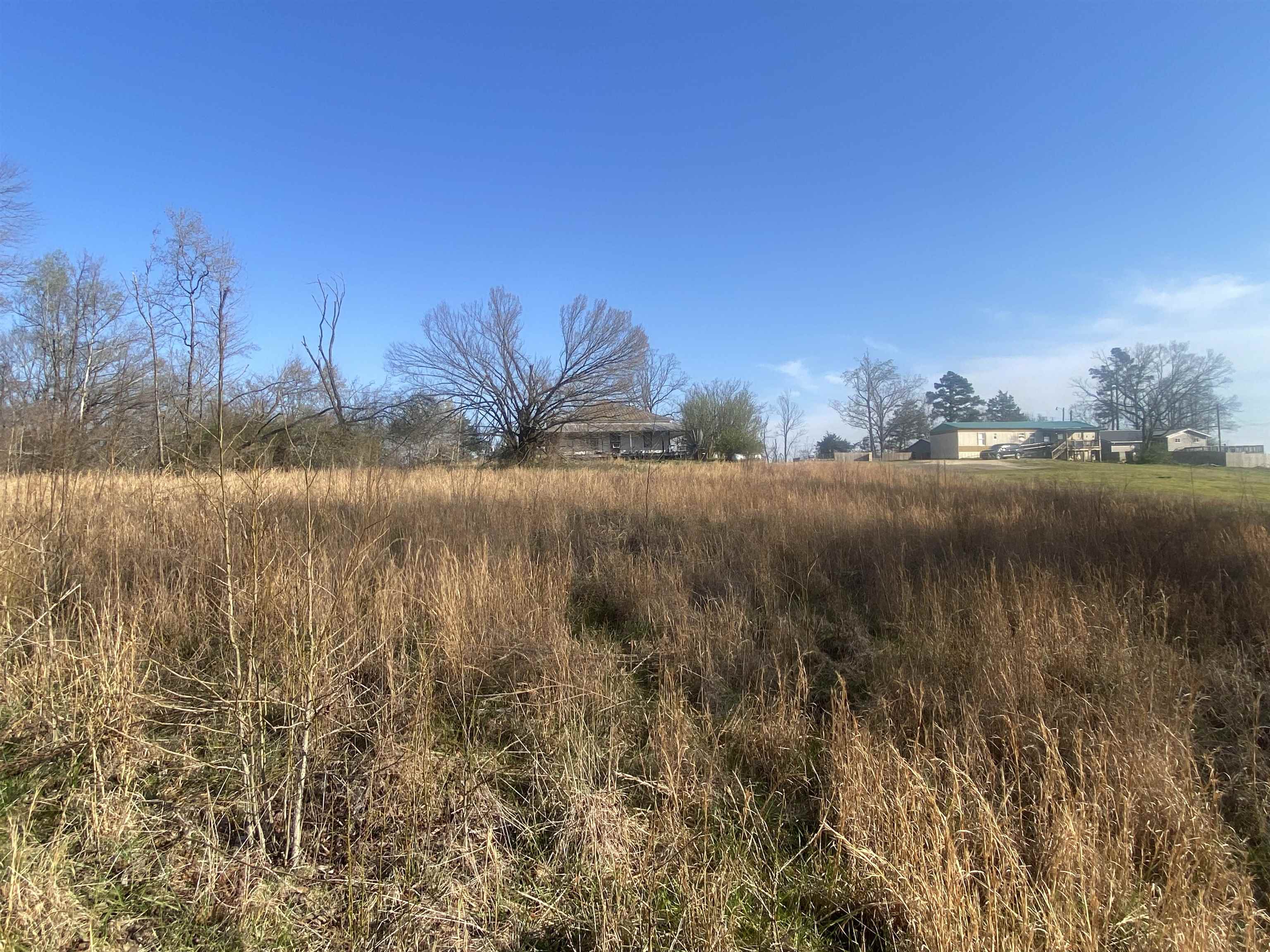 5405 Coffee Landing Road Morris Chapel, TN 38361 - Photo 9 of 32 a view of lake