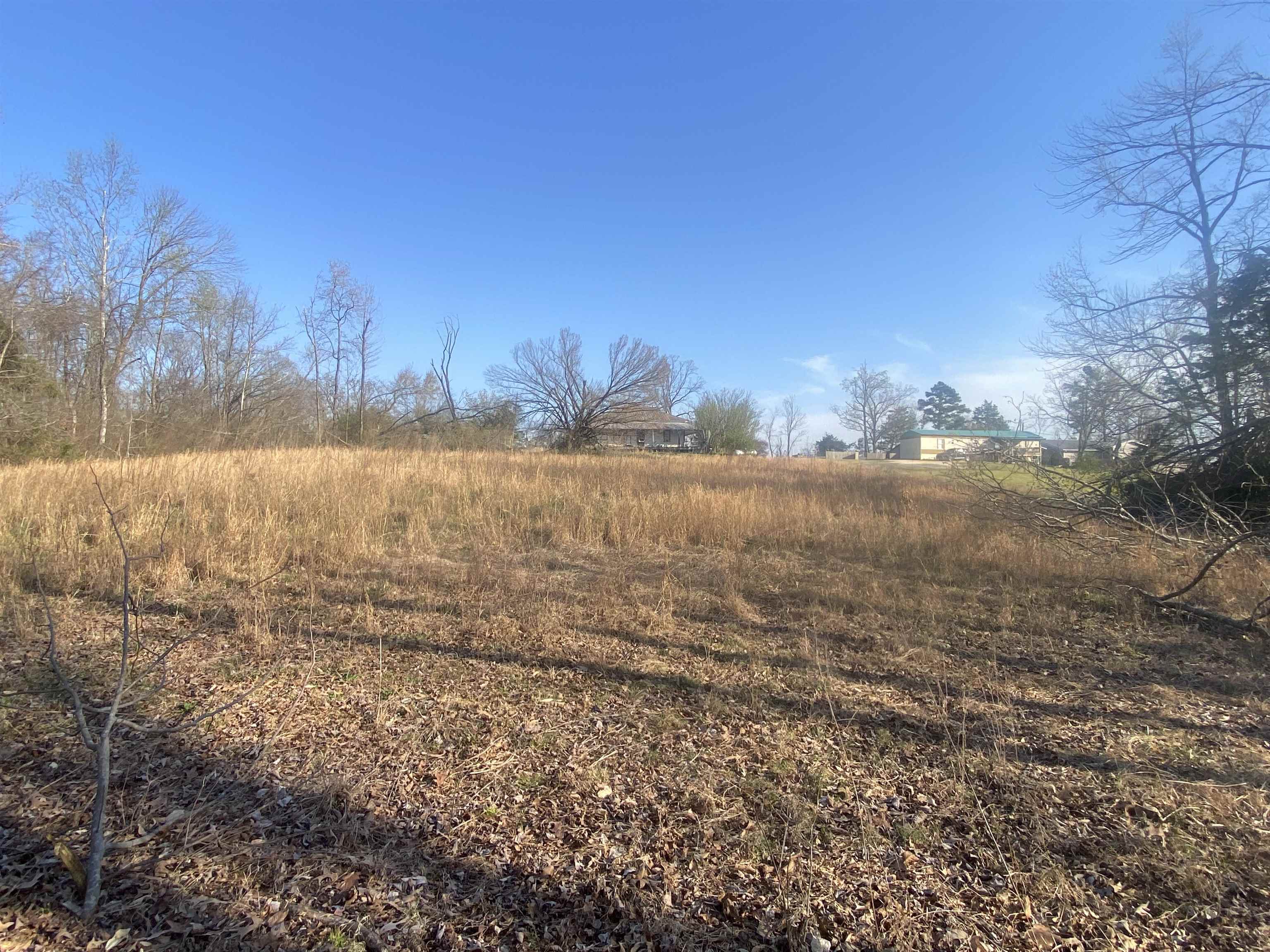 5405 Coffee Landing Road Morris Chapel, TN 38361 - Photo 10 of 32 a view of an ocean