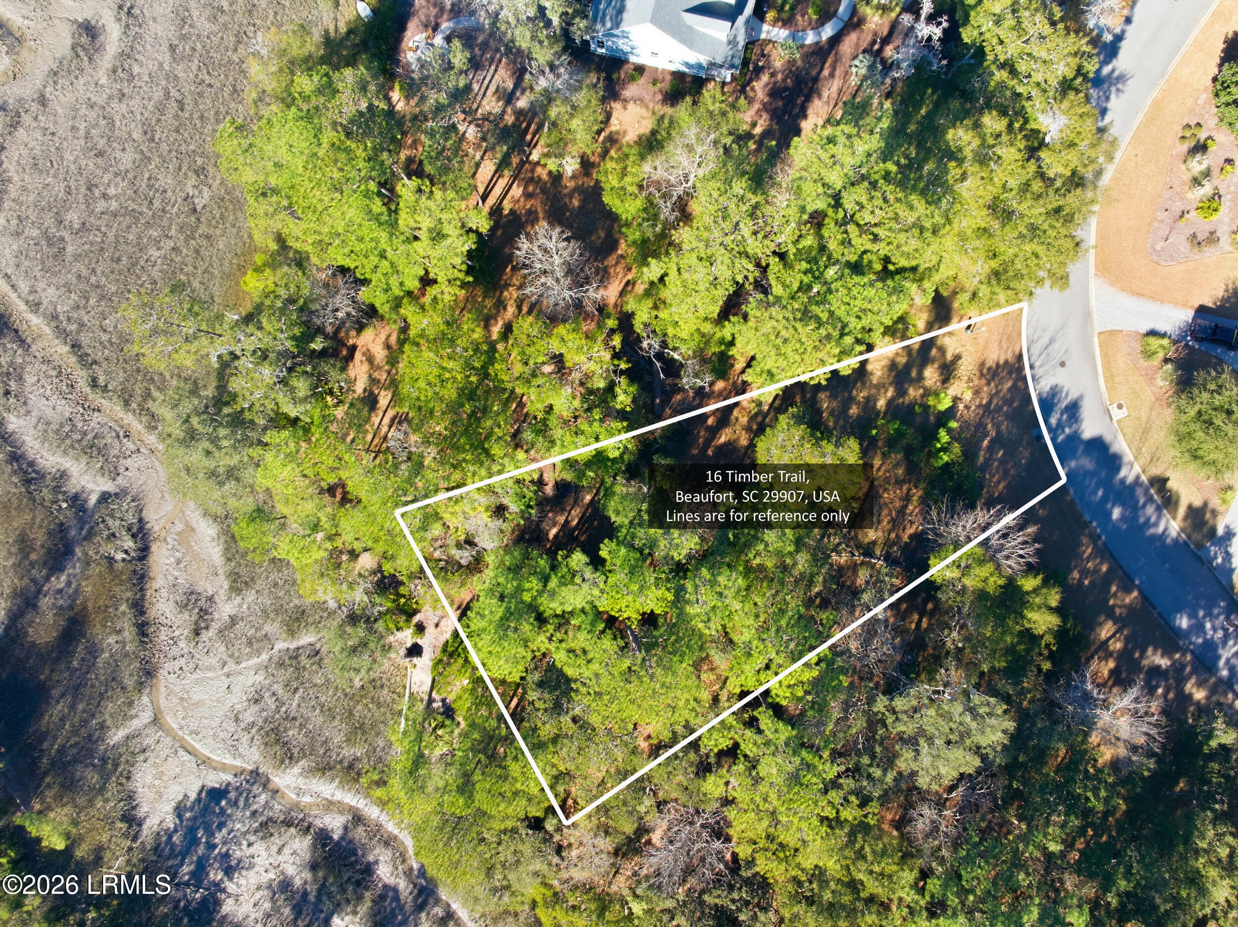 8_dji_20260116135253_0008_d-16 timber tr