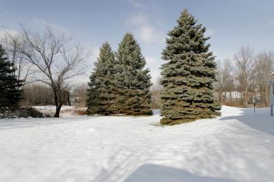 15572 Kane Road Plainwell, MI 49080 - Photo 17 of 23 Additional Photo
