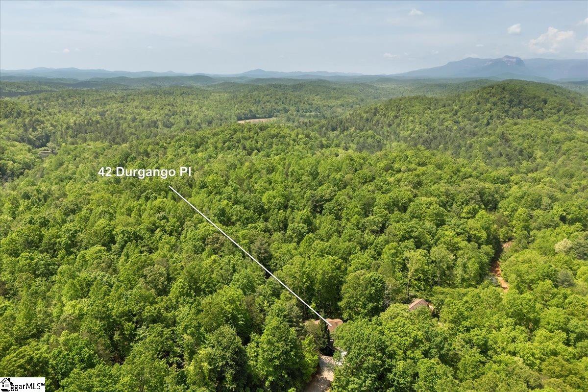 42 Durango Road Cleveland, SC 29635 - Photo 42 of 50