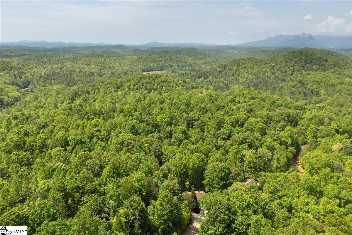 42 Durango Road Cleveland, SC 29635 - Photo 43 of 50