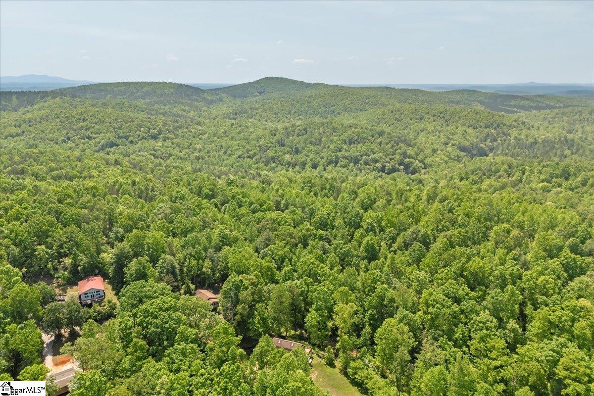 42 Durango Road Cleveland, SC 29635 - Photo 44 of 50