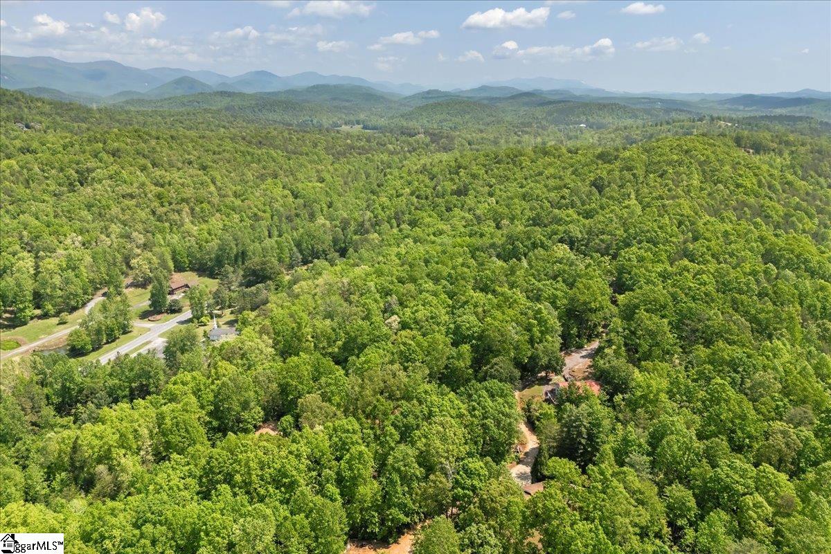 42 Durango Road Cleveland, SC 29635 - Photo 46 of 50