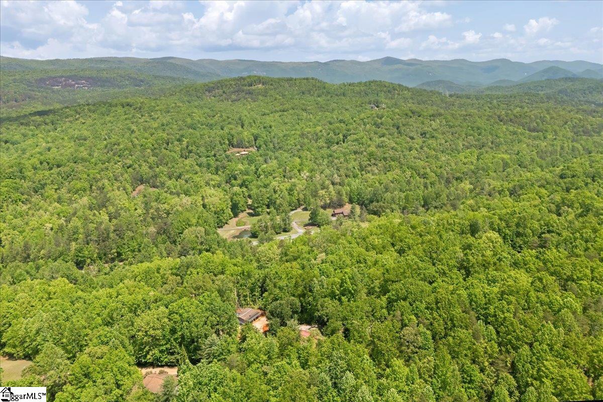 42 Durango Road Cleveland, SC 29635 - Photo 47 of 50