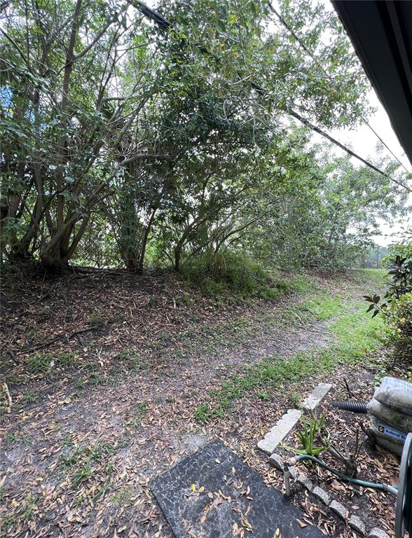 1217 McMullen Booth Road Clearwater, FL 33759 - Photo 36 of 44 a view of a forest with trees in the background