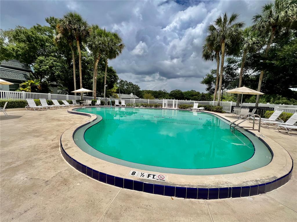 1217 McMullen Booth Road Clearwater, FL 33759 - Photo 42 of 44 a view of a swimming pool with chairs