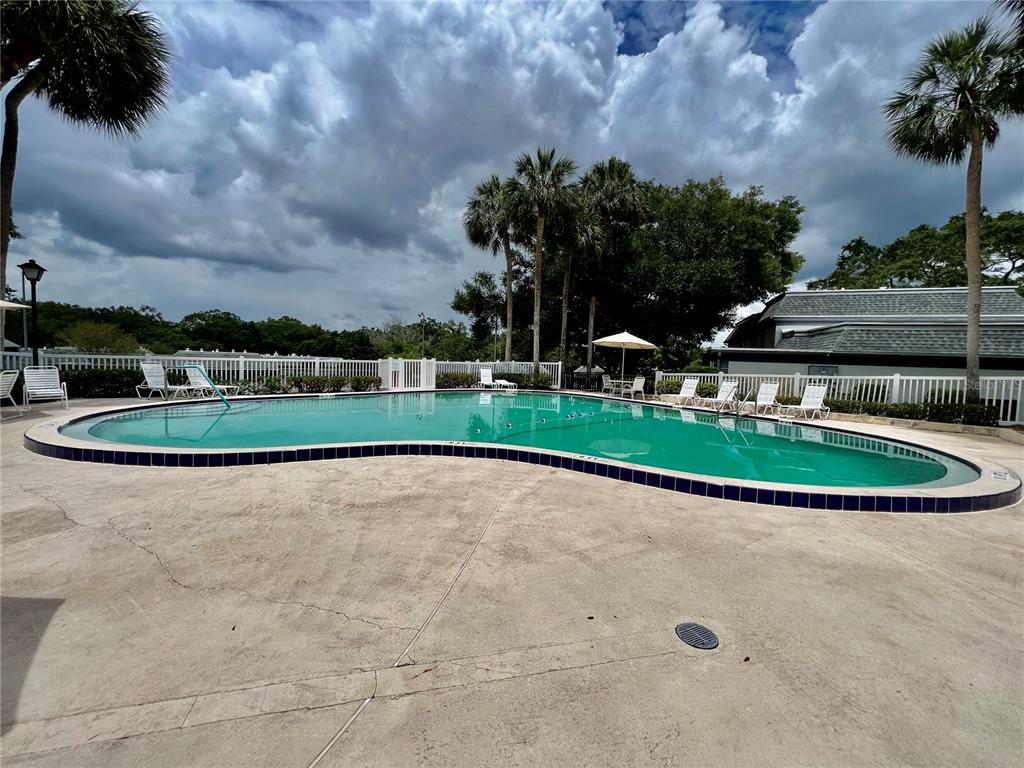 1217 McMullen Booth Road Clearwater, FL 33759 - Photo 43 of 44 a view of a golf course