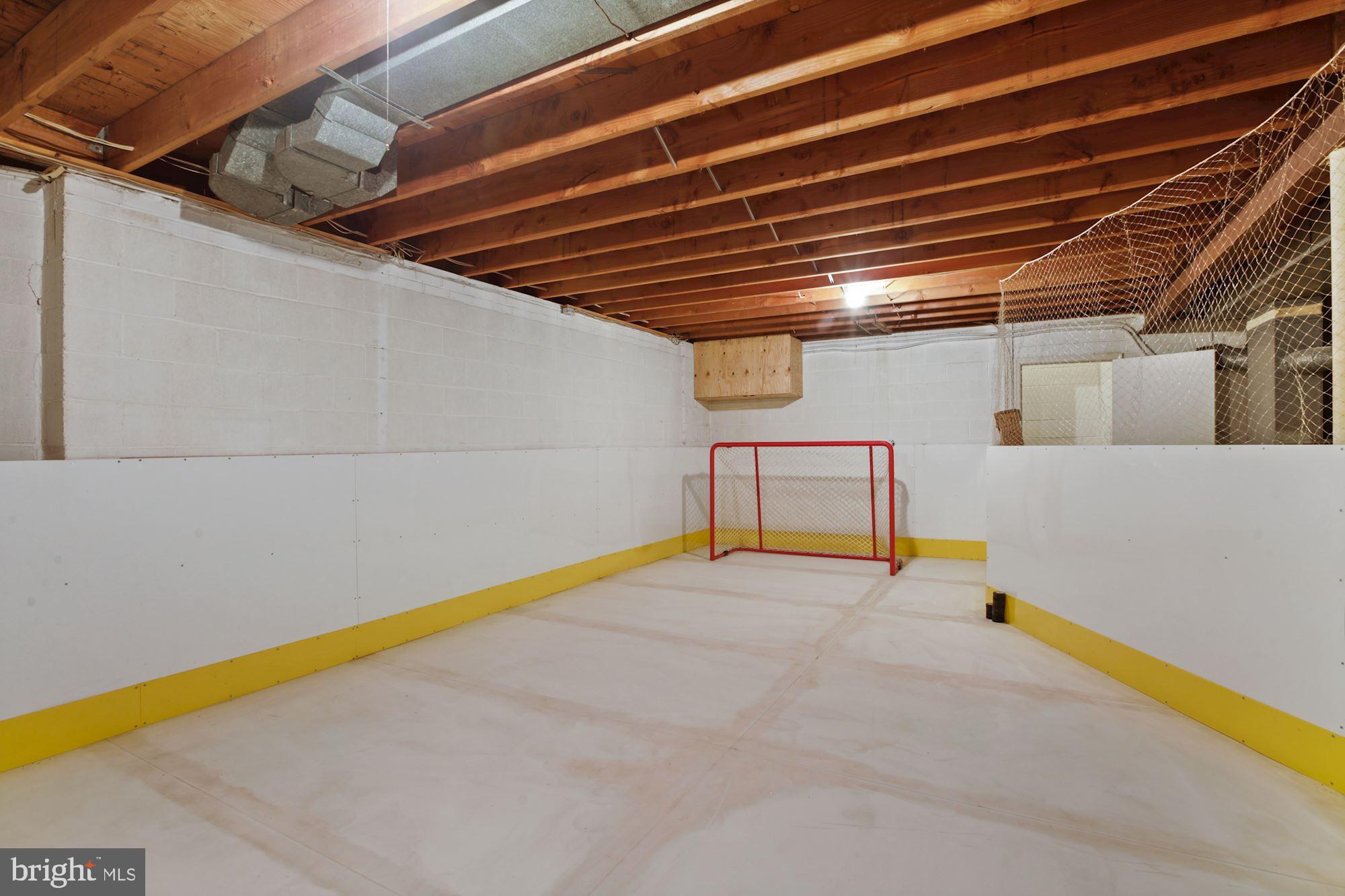 11009 Cripplegate Road Potomac, MD 20854 - Photo 15 of 18 Artificial Ice hockey practise area