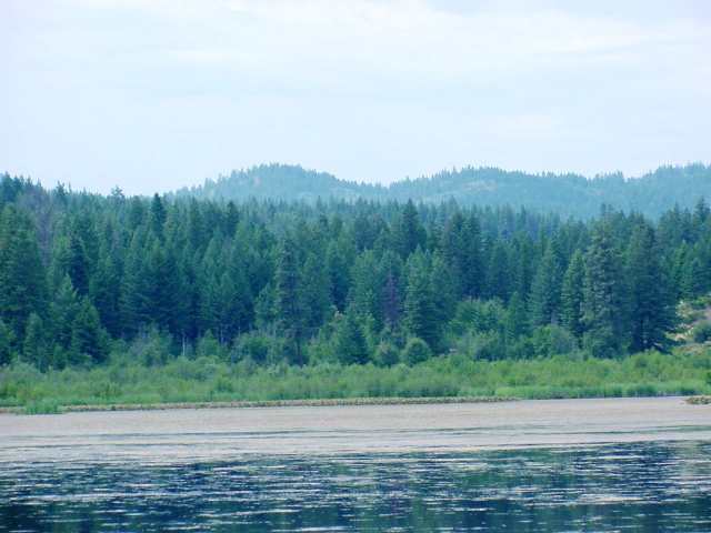 42800 North Hatch Road Deer Park, WA 99006 - Photo 1 of 9 Gallery Image 1