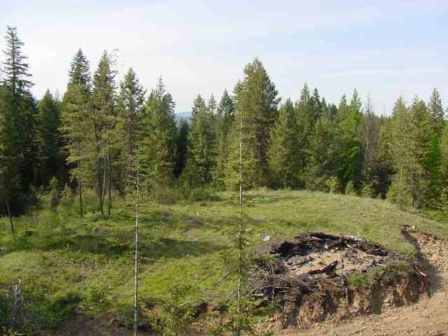 42800 North Hatch Road Deer Park, WA 99006 - Photo 2 of 9 Gallery Image 2