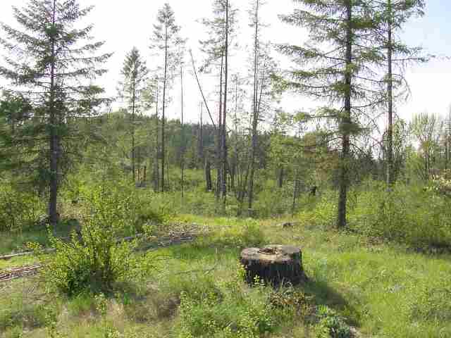 42800 North Hatch Road Deer Park, WA 99006 - Photo 5 of 9 Gallery Image 5