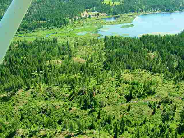 42800 North Hatch Road Deer Park, WA 99006 - Photo 7 of 9 Gallery Image 7