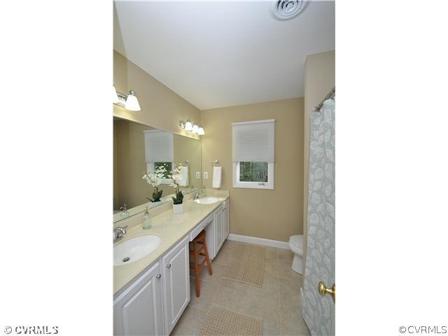 13804 Winterberry Ridge Midlothian, VA 23112 - Photo 10 of 12 a bathroom with a sink and a mirror