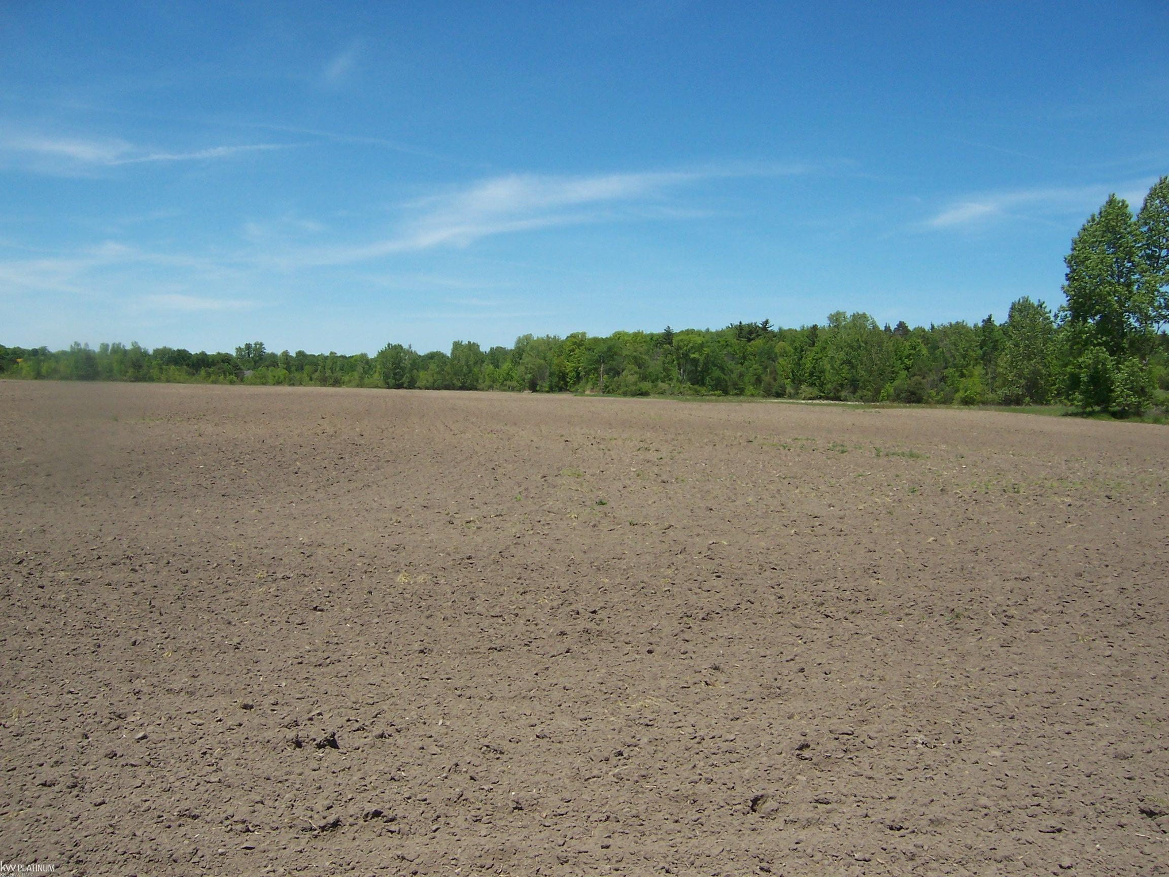 Lot 8 Lapeer Road Smiths Creek, MI 48074 - Photo 1 of 2