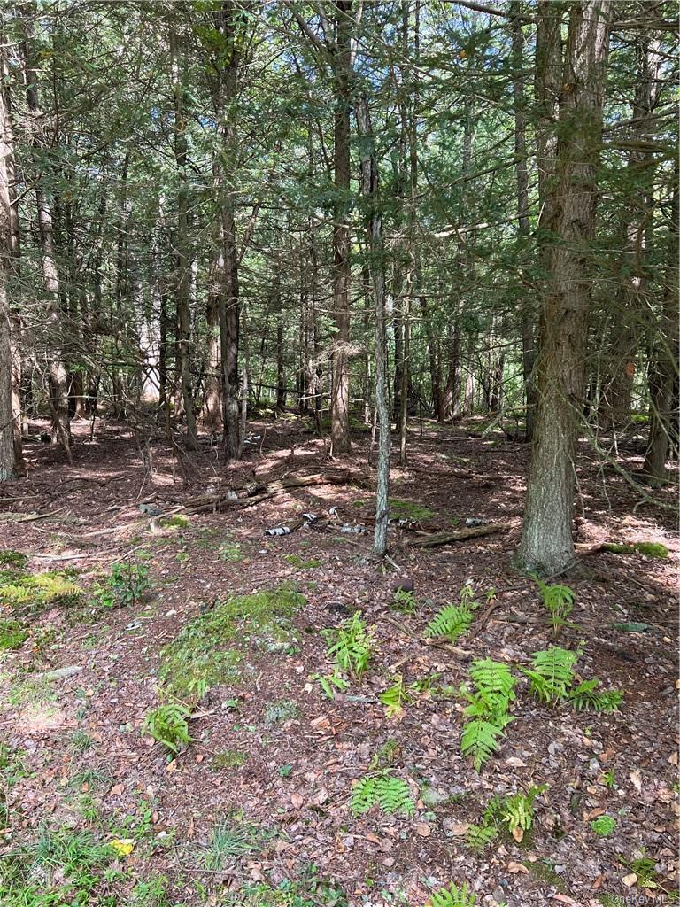 0 Cooper Drive Road Swan Lake, NY 12783 - Photo 3 of 10 a backyard of a house with lots of green space