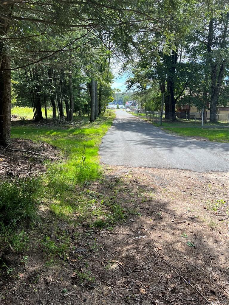 0 Cooper Drive Road Swan Lake, NY 12783 - Photo 5 of 10 a view of a yard with plants and trees