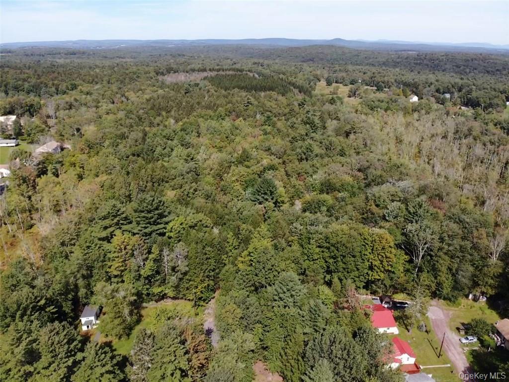 0 Cooper Drive Road Swan Lake, NY 12783 - Photo 8 of 10 a view of a city with lush green forest