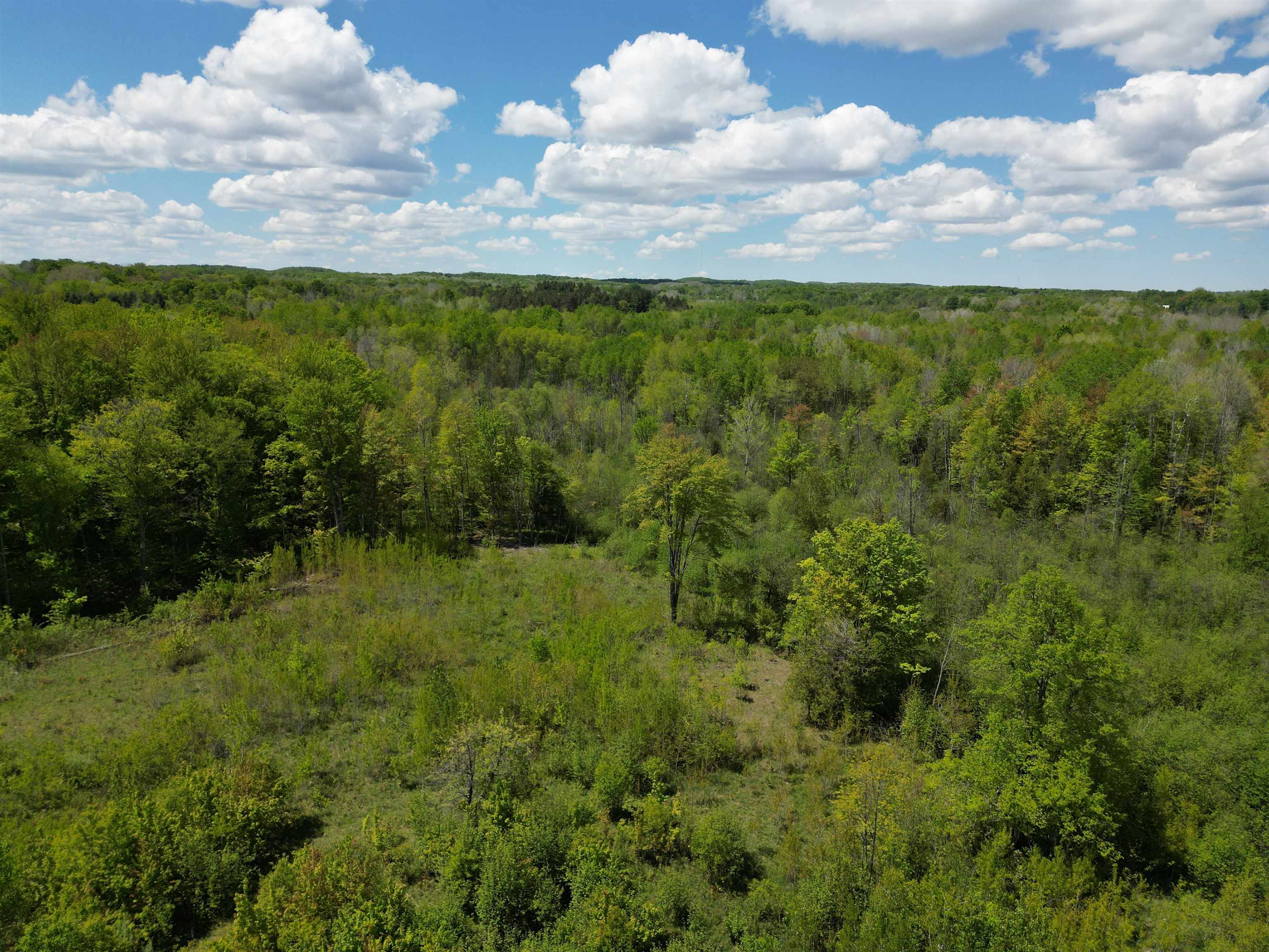 19 Mile Road Kingsley, MI 49649 - Photo 18 of 30