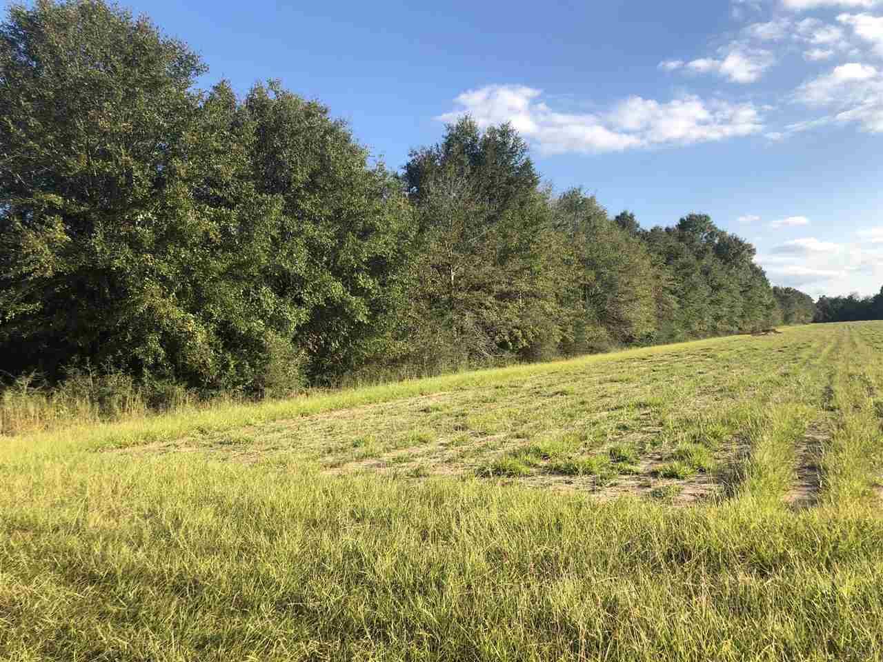 0 Jack Holland Road Milton, FL 32570 - Photo 5 of 10 Gallery Image 5