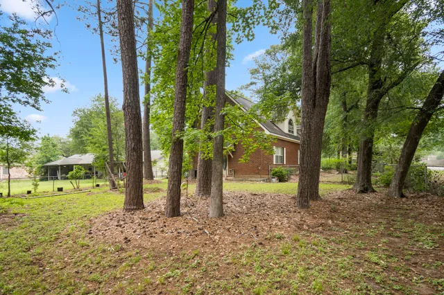 a view of a yard with a tree