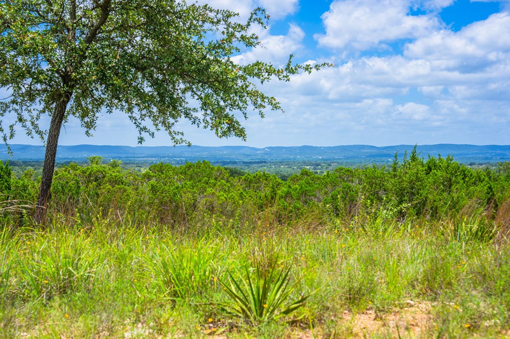4568 Fm 2828 Bandera, TX 78003 - Photo 5 of 17