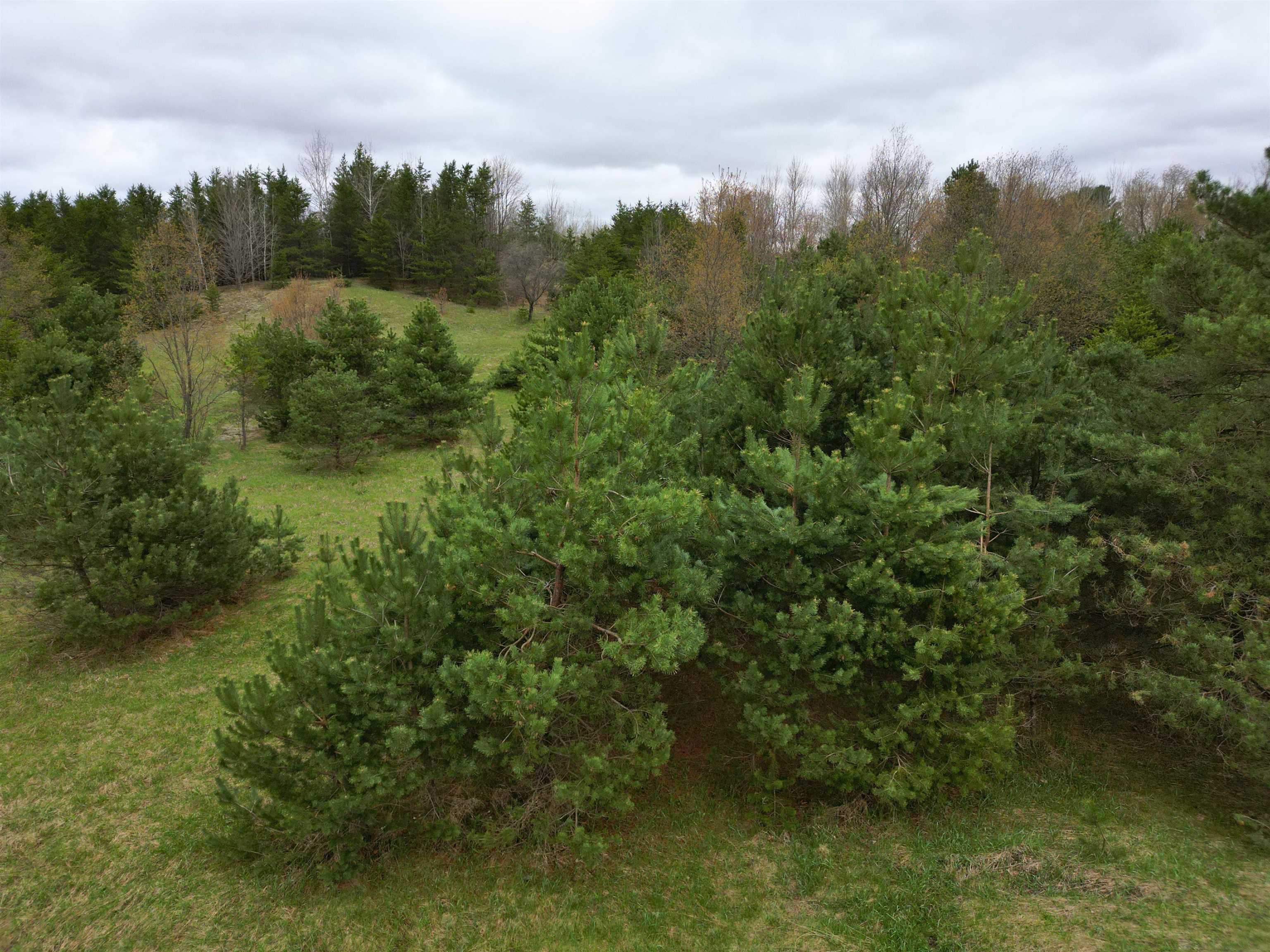 0 West County Line Road, Unit LOT: C Thompsonville, MI 49683 - Photo 4 of 21