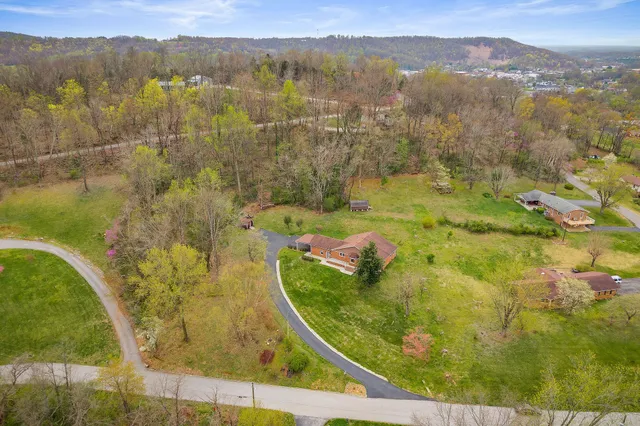 a view of a lake with a mountain