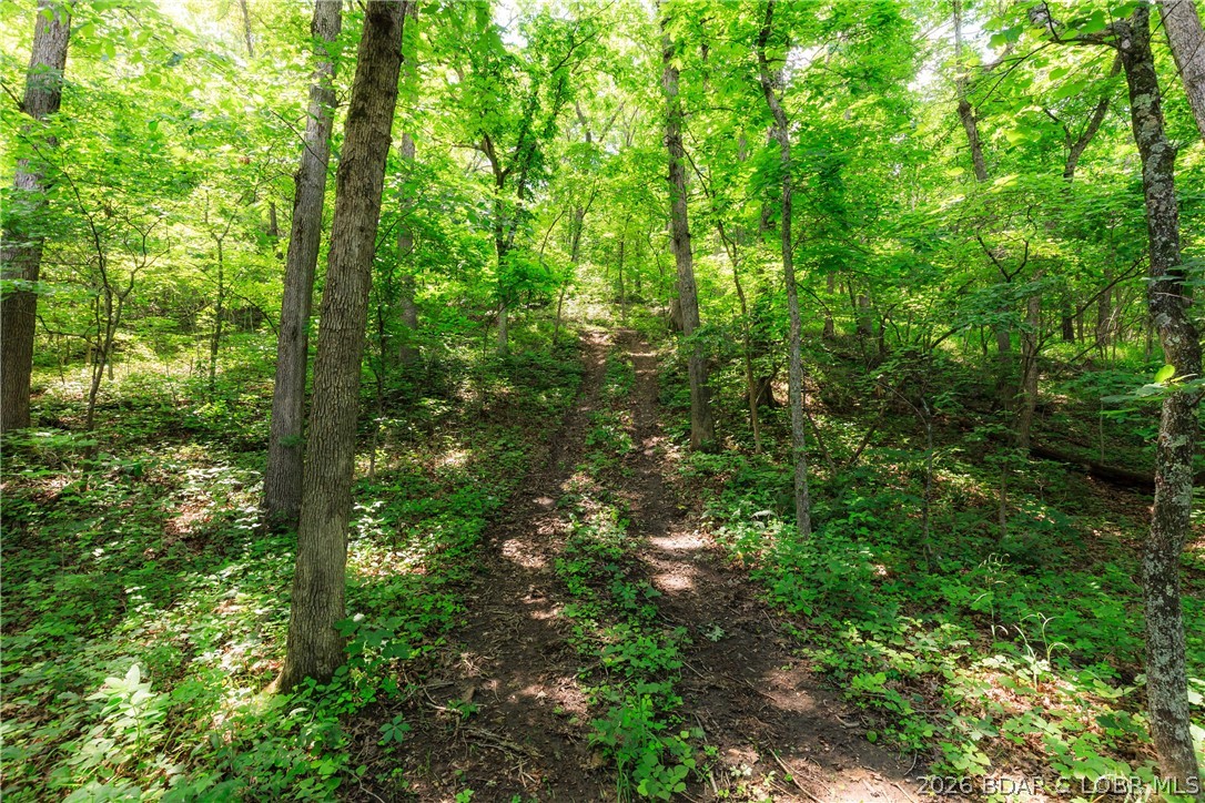 400 Hidden Acres Road Camdenton, MO 65020 - Photo 29 of 39