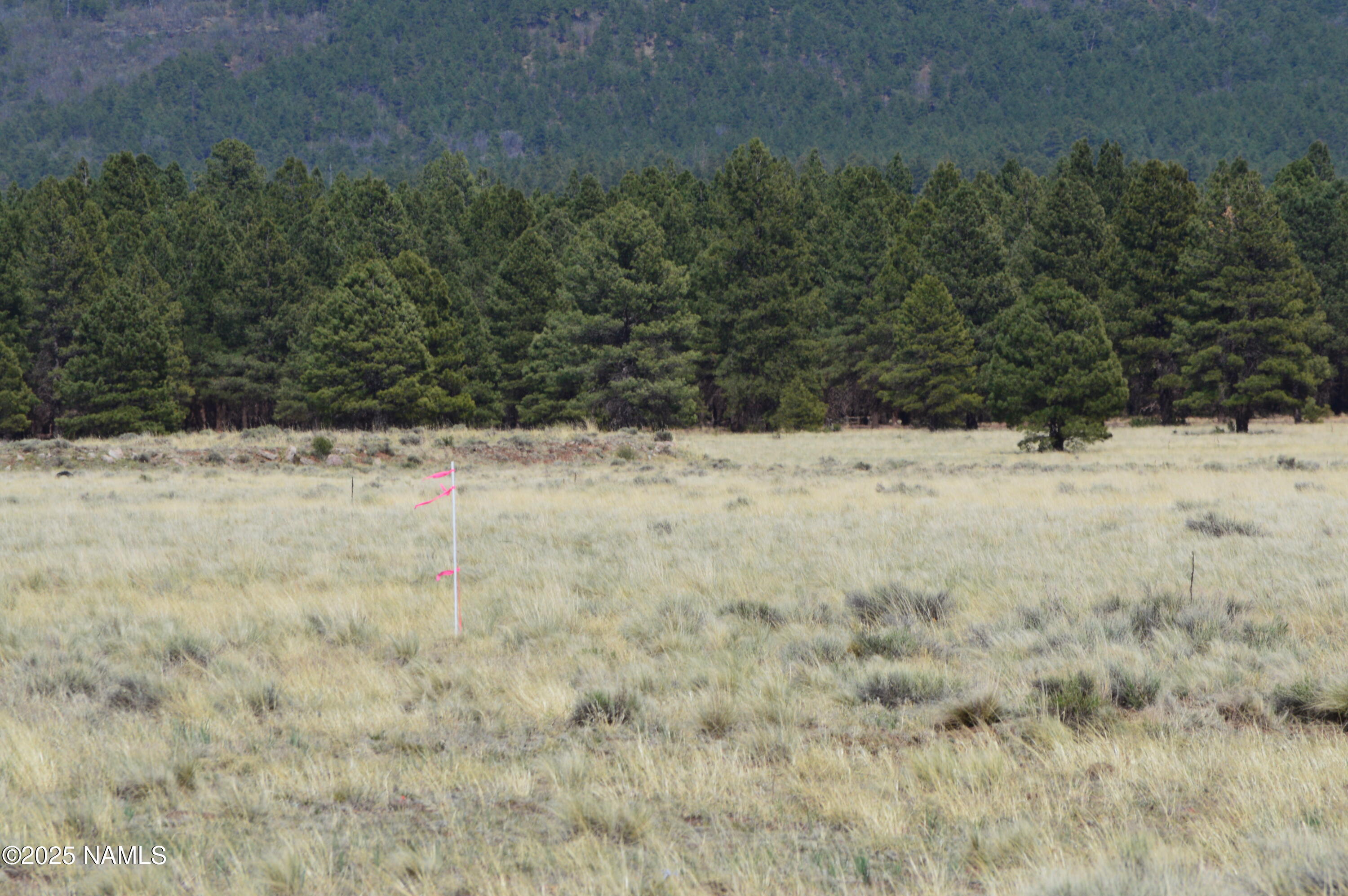 Lot 2 East Tanner Rnch Road Flagstaff, AZ 86005 - Photo 11 of 34 a view of a yard covered in snow