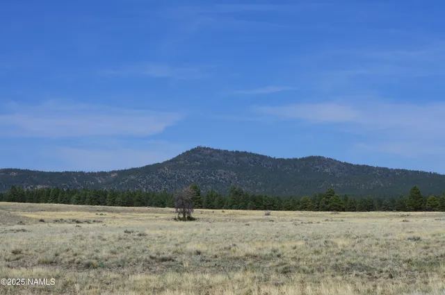 a view of an outdoor space and a mountain view