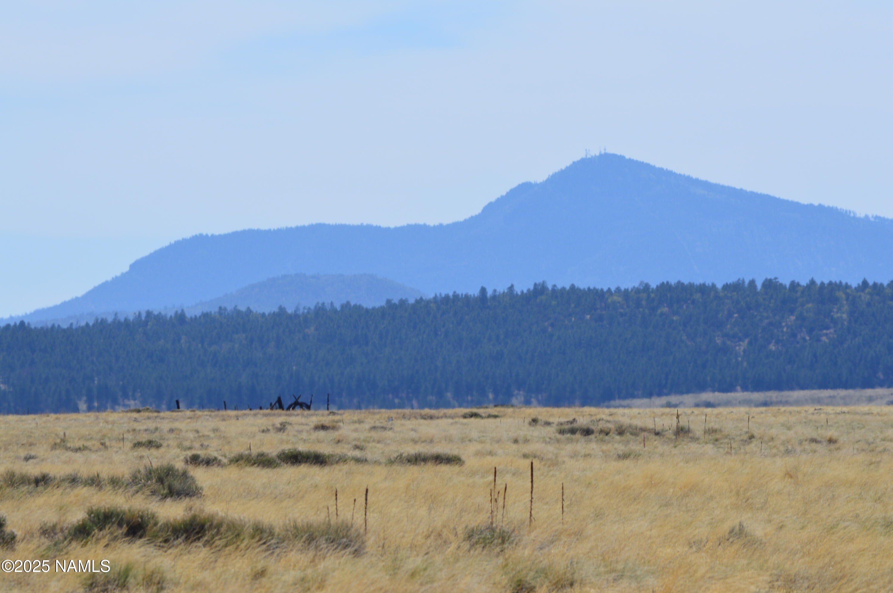 Lot 2 East Tanner Rnch Road Flagstaff, AZ 86005 - Photo 16 of 34 a view of tall trees and a mountain view