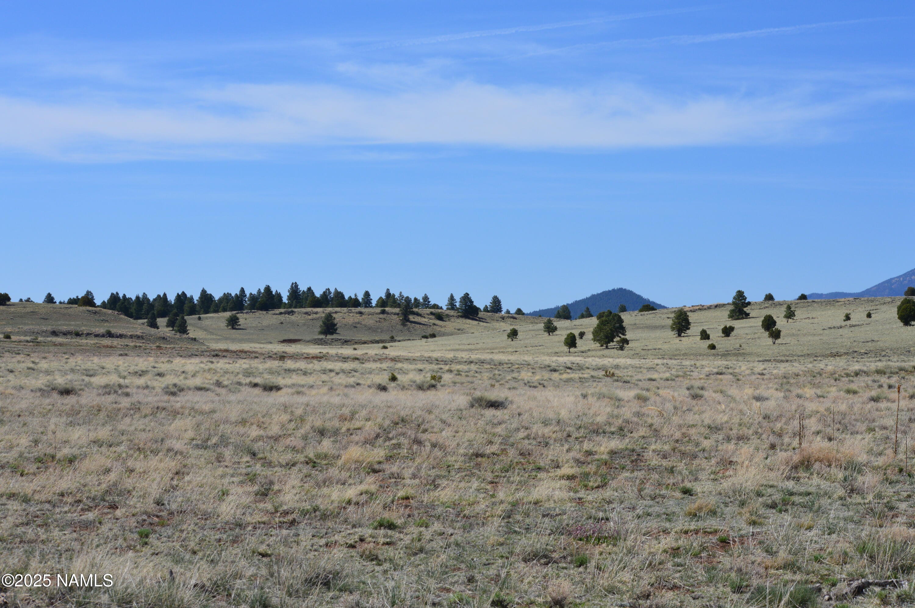 Lot 2 East Tanner Rnch Road Flagstaff, AZ 86005 - Photo 19 of 34 a view of a dry yard with lots of trees